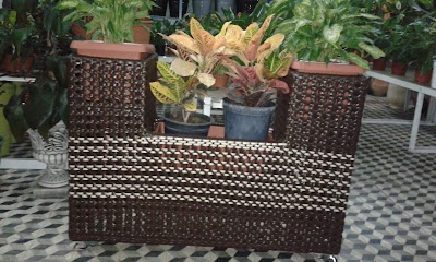 Photos of Caf&eacute; Thalia Palace