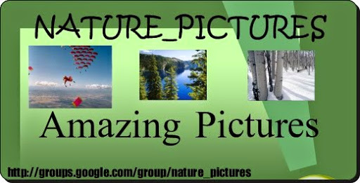 Header Nature_Pictures Amazing Pictures.jpg