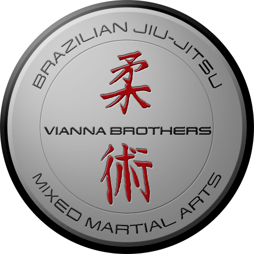 Vianna Brothers Brazilian Jiu-Jitsu Academy logo