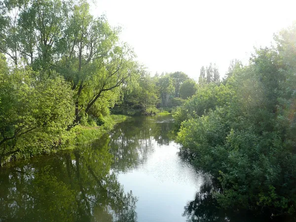 River Wensum again