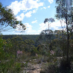 View from Smiths Creek Trail near Terrey Hills (306491)