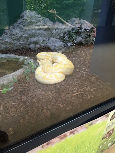 Naples Zoo