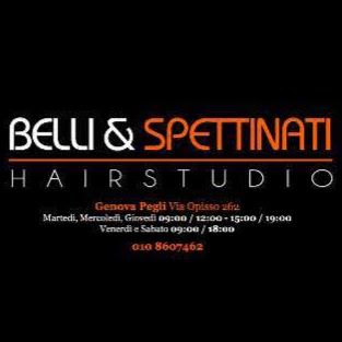 Belli & Spettinati logo