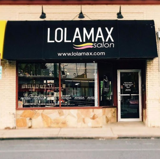 LolaMax Salon logo