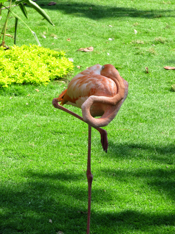 Тайна двух океанов: Панамский канал в круизе HAL Statendam зимой 2015