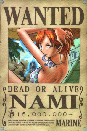 Tripulación Mugiwara Nami