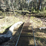 Metal grate in Kosciuszko National Park (297044)