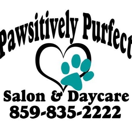 Pawsitively Purfect Salon