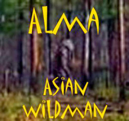 Alma Asian Wildman