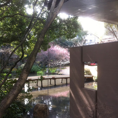 iPhoneUpload