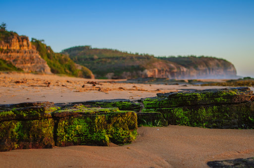Turimetta Beach