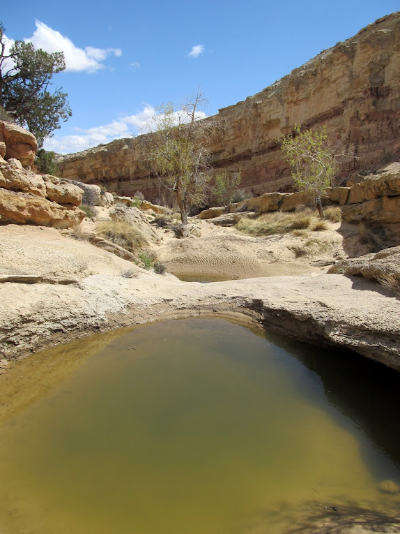 More pools, almost back to the canyon junction to join my previous route