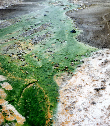 DIA-3. Norris, el cañón y el lago. YELLOWSTONE (II) - Los fascinantes parques del oeste americano. (18)