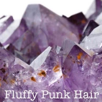 Fluffy Punk Salon logo