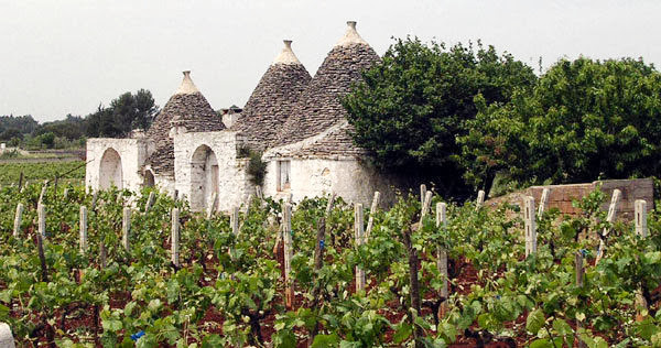 Wijnen uit Puglia bij GustoPiuma - GustoPiuma