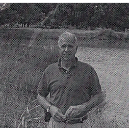 Image pertaining to JOE MASTROSERIO