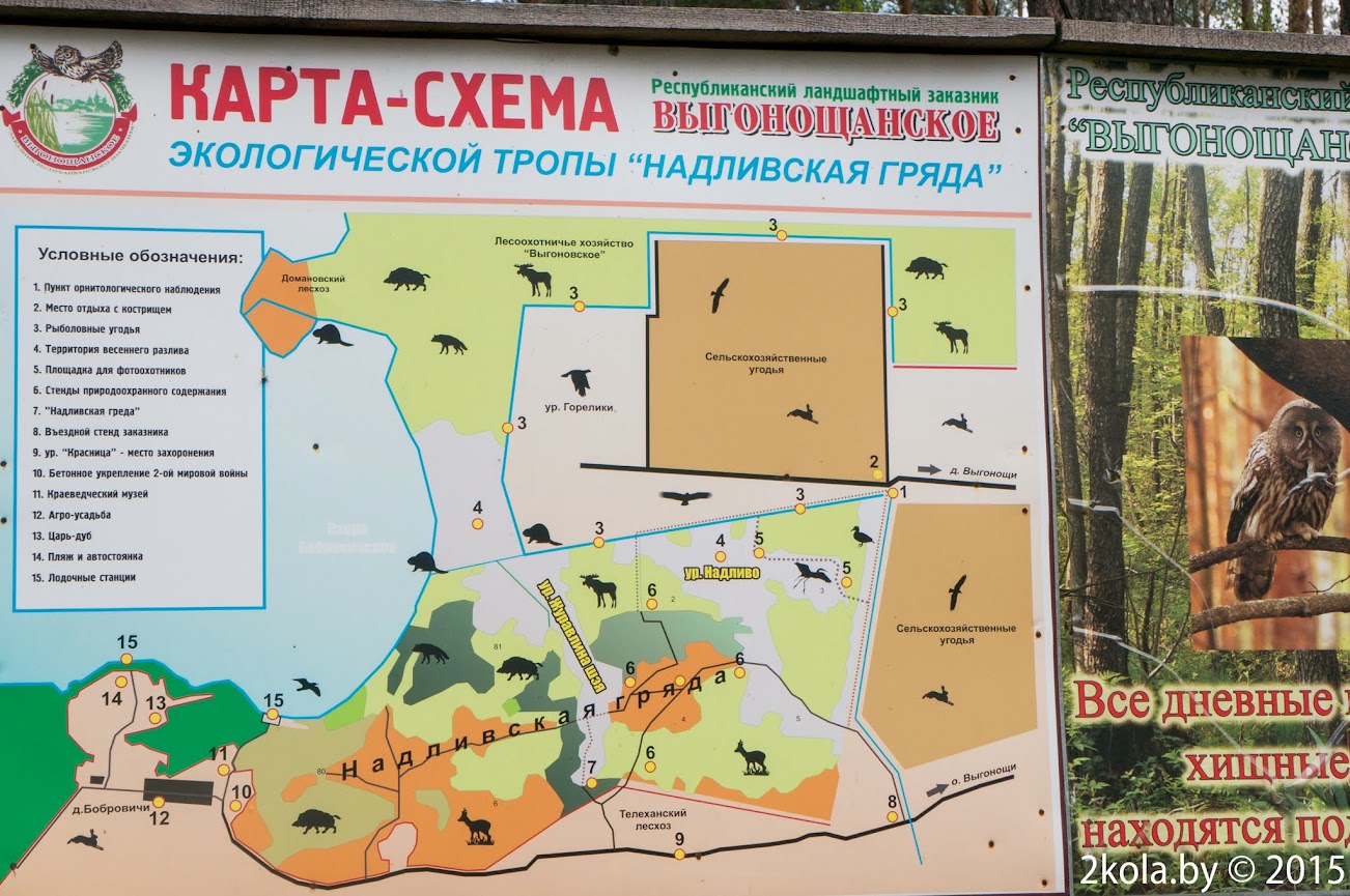 Пакатушка уздоўж Агінскага канала: Івацэвічы-Целеханы-Пінск %D0%92%D0%B4%D0%BE%D0%BB%D1%8C%2B%D0%9E%D0%B3%D0%B8%D0%BD%D1%81%D0%BA%D0%BE%D0%B3%D0%BE%2B%D0%BA%D0%B0%D0%BD%D0%B0%D0%BB%D0%B0 7 - Пакатушка уздоўж Агінскага канала: Івацэвічы-Целеханы-Пінск