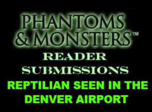Reader Submission Reptilian Seen In The Denver Airport
