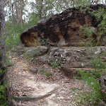 Rock beside track to Lawsons Lookout (146418)