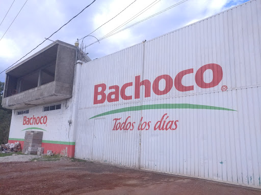 Bachoco, Calle 16 de Septiembre 895, Barrio de Tzautla, 90491 San Andrés Ahuashuatepec, Tlax., México, Tienda de barrio | TLAX