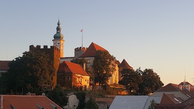 Photos of Penzion, vinn&yacute; sklep a caf&eacute; B&aacute;rta