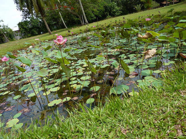 Blog de voyage-en-famille : Voyages en famille, Cherating, plage ou plage