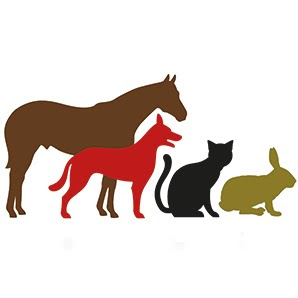 Animed Veterinary Hospital logo