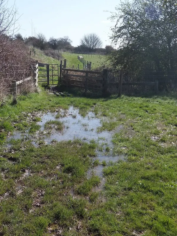 Flooded pathway by the River Stour