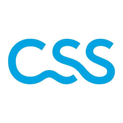 CSS Agentur Baden logo