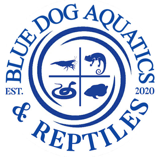 Blue Dog Aquatics and Reptiles