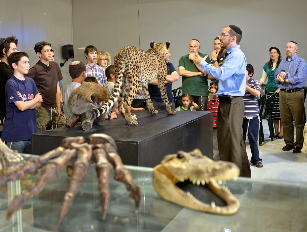 The Biblical Museum of Natural History