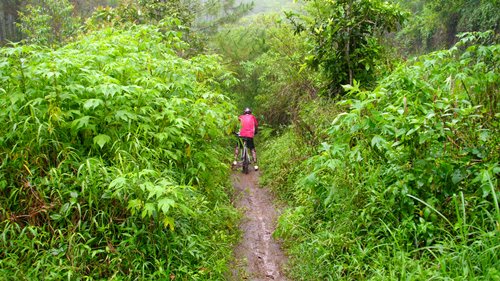 Perjalanan dilanjutkan dengan melibas single track yang ada di kawasan hutan Cangar. Kebetulan sedang turun hujan, jadi track semakin licin dan menantang :D