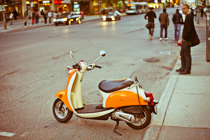 IMAGE: https://lh5.googleusercontent.com/-lAmeEc8AJT4/TcoFvHZ6_WI/AAAAAAAAThQ/CD7AV2wQxDc/s700/_MG_5251.jpg