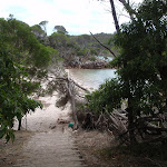 Stairs onto Bittangabee Beach (106564)