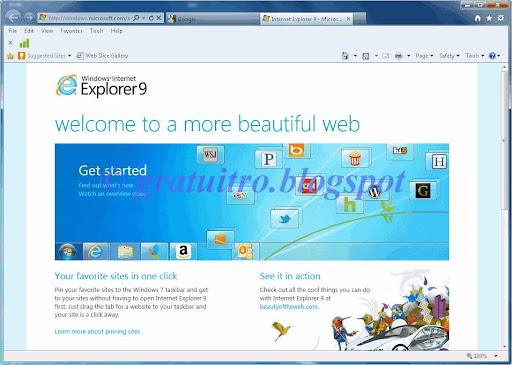 Windows 7 LITE con IE9