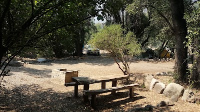 Photos of Camping Parque Almendro