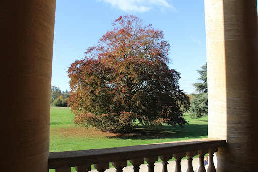 Basildon Park