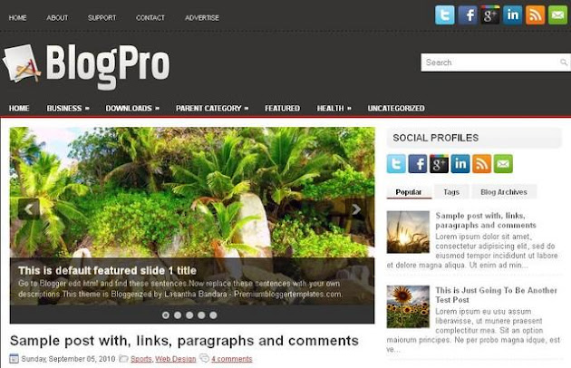 BlogPro Blogger Template BlogPro Blogger Template
