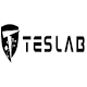 Teslab- DIY PPF Tesla Model 3 & Y (Front, Bumper, Rear, Headlight, Full Body) NSW