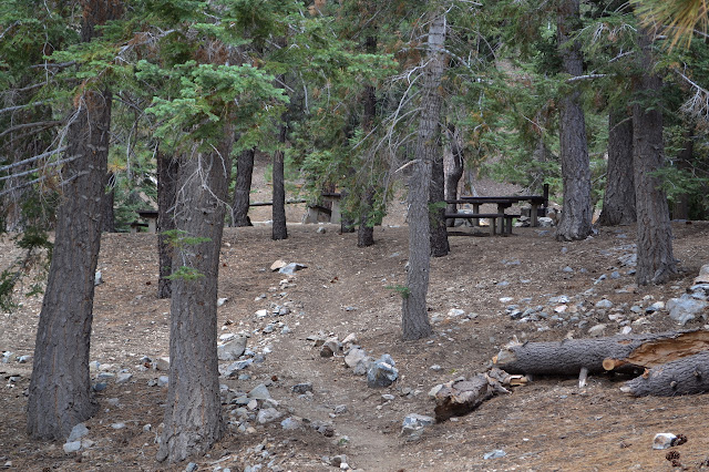 tables and stoves at the camp