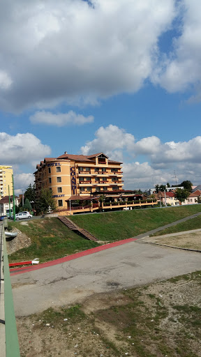 Hotel Coandi