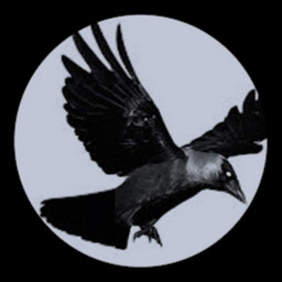 Black Raven Avatar