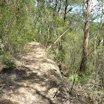 Steep valley beside the old Lower Mooney Mooney Dam trail (372433)