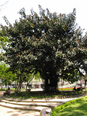 Вьетнам-онлайн, 2 недели, Ханой - Сайгон 13.04.15 - 27.04.15, одиночный трип