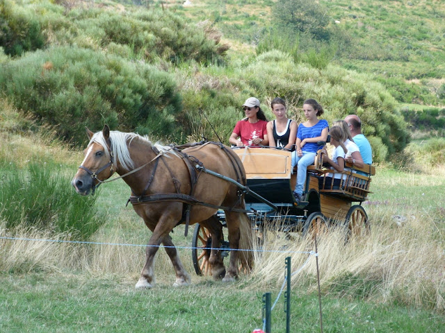 Fête du Haflinger du 16 au 18 Aout 2013 a Ajoux (07) P1170127%2520%25281024x768%2529