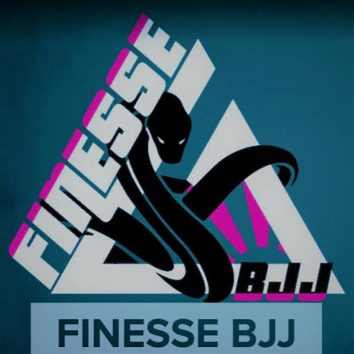 Finesse Jiu Jitsu logo