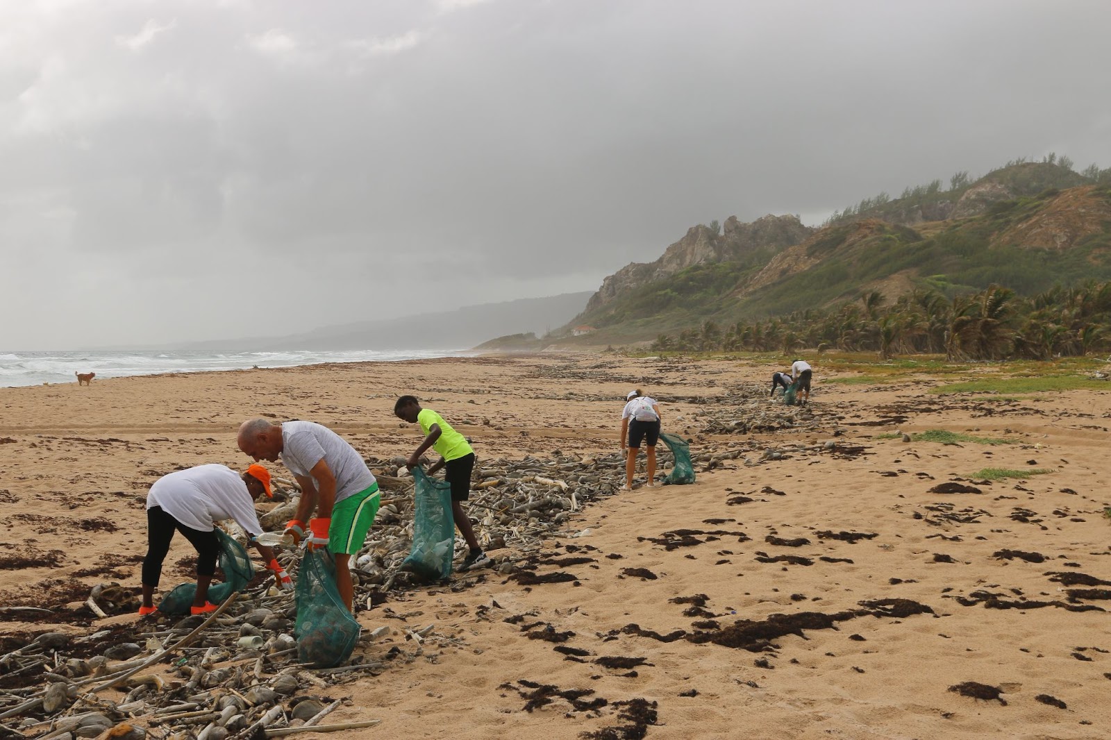 ocean cleanup