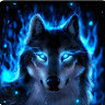 author-avatar