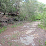 Davidson service trail (126310)