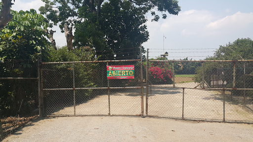 Vivero Hamana, Venta del Mejor pasto Cuernavaca de México, Avenida Jiutepec 40 Colonia Atlacomulco, (Adelante de Bachilleres, frente al salon Kinyu Dorado), 62560 Jiutepec, Mor., México, Vivero mayorista | MOR